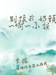 别揉我奶头~嗯~啊~小说