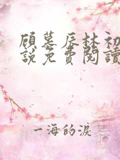 顾慕辰林初荔小说免费阅读最新章节