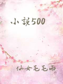 小说500