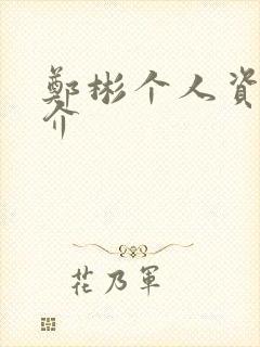 郑彬个人资料简介