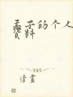 孟子的个人简介资料