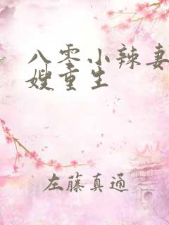 八零小辣妻,军嫂重生