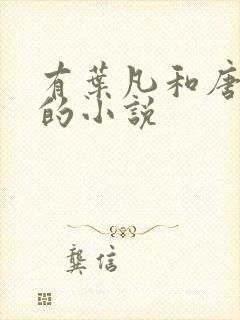 有叶凡和唐若雪的小说