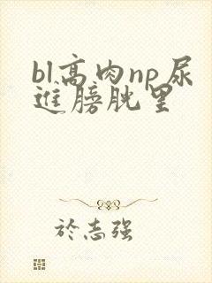 bl高肉np尿进膀胱里