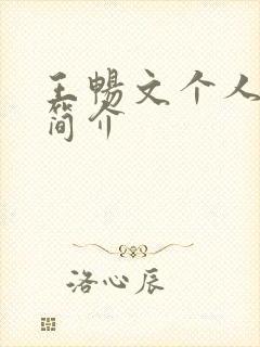 王畅文个人资料简介