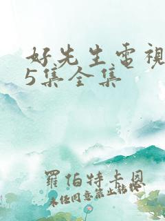 好先生电视剧45集全集