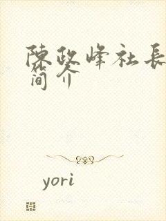 陈政峰社长个人简介