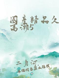 国产精品久久久高潮5