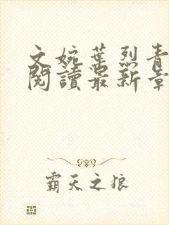 文婉叶烈青免费阅读最新章节