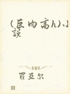 (巨肉高h)小说