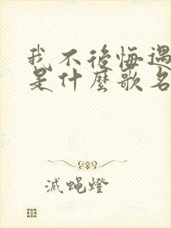 我不后悔遇见你是什么歌名