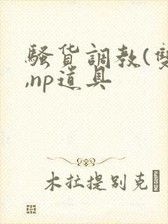 骚货调教(双性,np道具