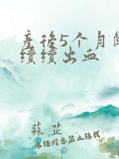 产后5个月断断续续出血