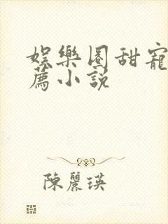 娱乐圈甜宠文推荐小说