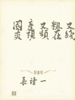 国产又粗又猛又爽视频在线