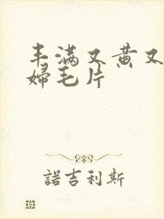 丰满又黄又爽少妇毛片