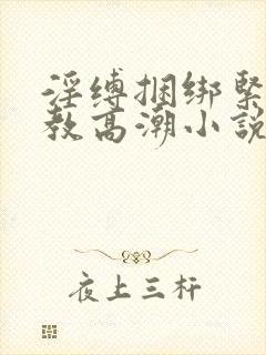 淫缚捆绑紧缚调教高潮小说