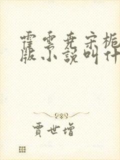 霍云尧宋栀鸢正版小说叫什么名字