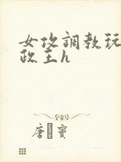 女攻调教玩弄摄政王h