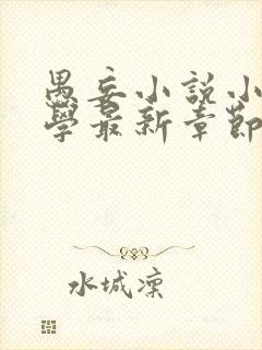 愚妄小说小妈文学最新章节更新