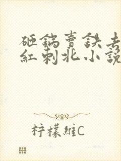 砸锅卖铁去上学红刺北小说全文免费阅读全文