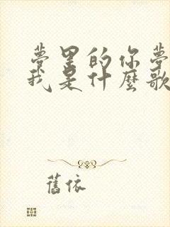 梦里的你梦里的我是什么歌