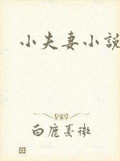 小夫妻小说