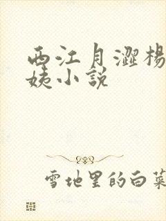 西江月涩杨夜江姨小说
