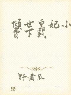 倾世皇妃小说免费下载