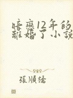 暗恋12年的他离婚了小说免费阅读