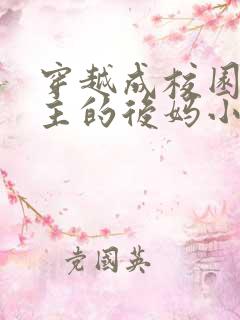 穿越成校园文男主的后妈小说