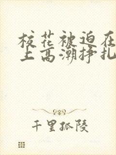 校花被迫在刑具上高潮挣扎视频