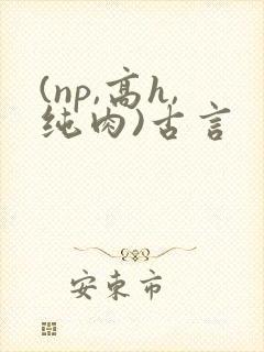 (np,高h,纯肉)古言