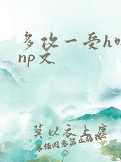 多攻一受h啪肉np文