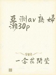 亚洲av熟妇高潮30p