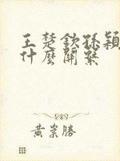 王楚钦孙颖莎是什么关系