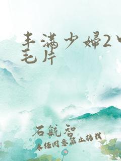 丰满少妇2中文毛片