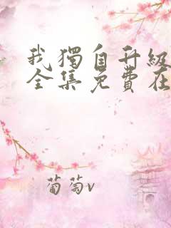 我独自升级动漫全集免费在线观看