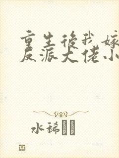 重生后我嫁给了反派大佬小说