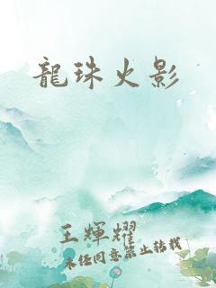 龙珠火影