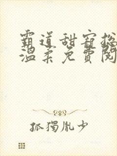 霸道甜宠总裁请温柔免费阅读