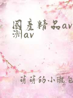 国产精品av亚洲av