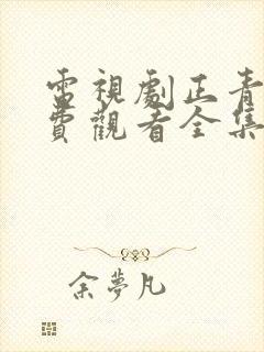 电视剧正青春免费观看全集