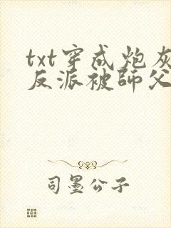 txt穿成炮灰反派被师父带飞了