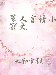 军人言情小说甜宠文