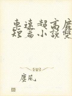 车速超高废文的短篇小说双女主