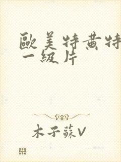 欧美特黄特黄的一级片