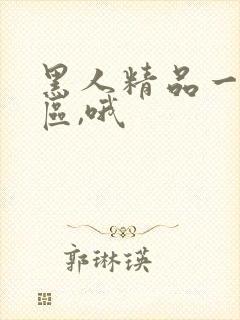 黑人精品一区二区,哦