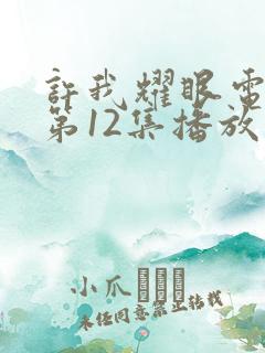 许我耀眼电视剧第12集播放