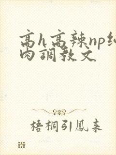 高h高辣np纯肉调教文